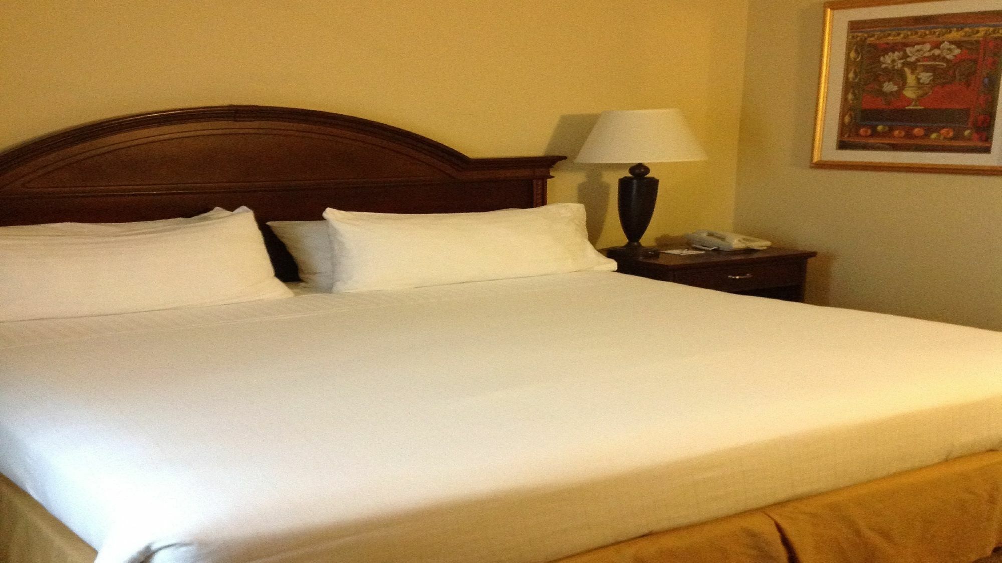 Holiday Inn Express Hotel & Suites Pigeon Forge By Ihg Esterno foto